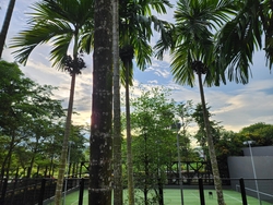 Tree House (D23), Condominium #380810941